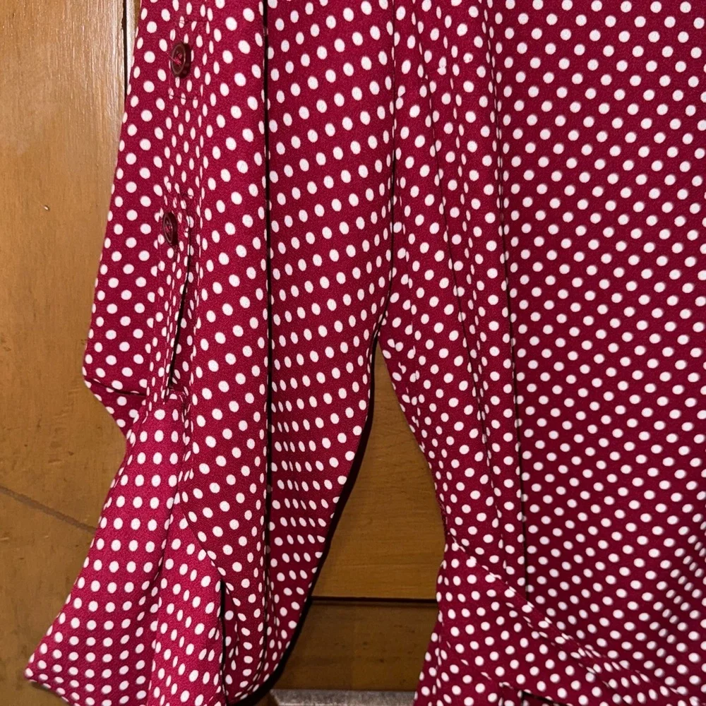 Express Polka Dot Dress with Belt Maroon XS NWT
